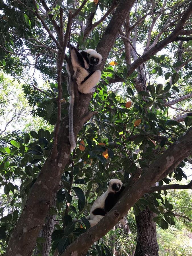 New Park Resort Mahajanga Luaran gambar